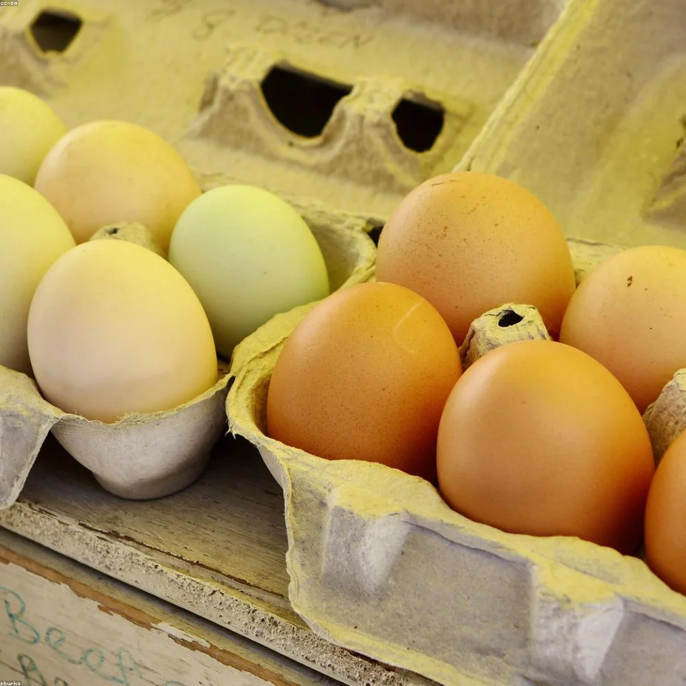 p1 Free-Range Eggs (12)